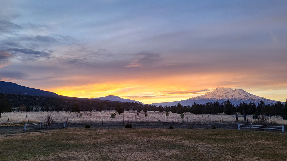 Siskiyou Sunshine Ranch