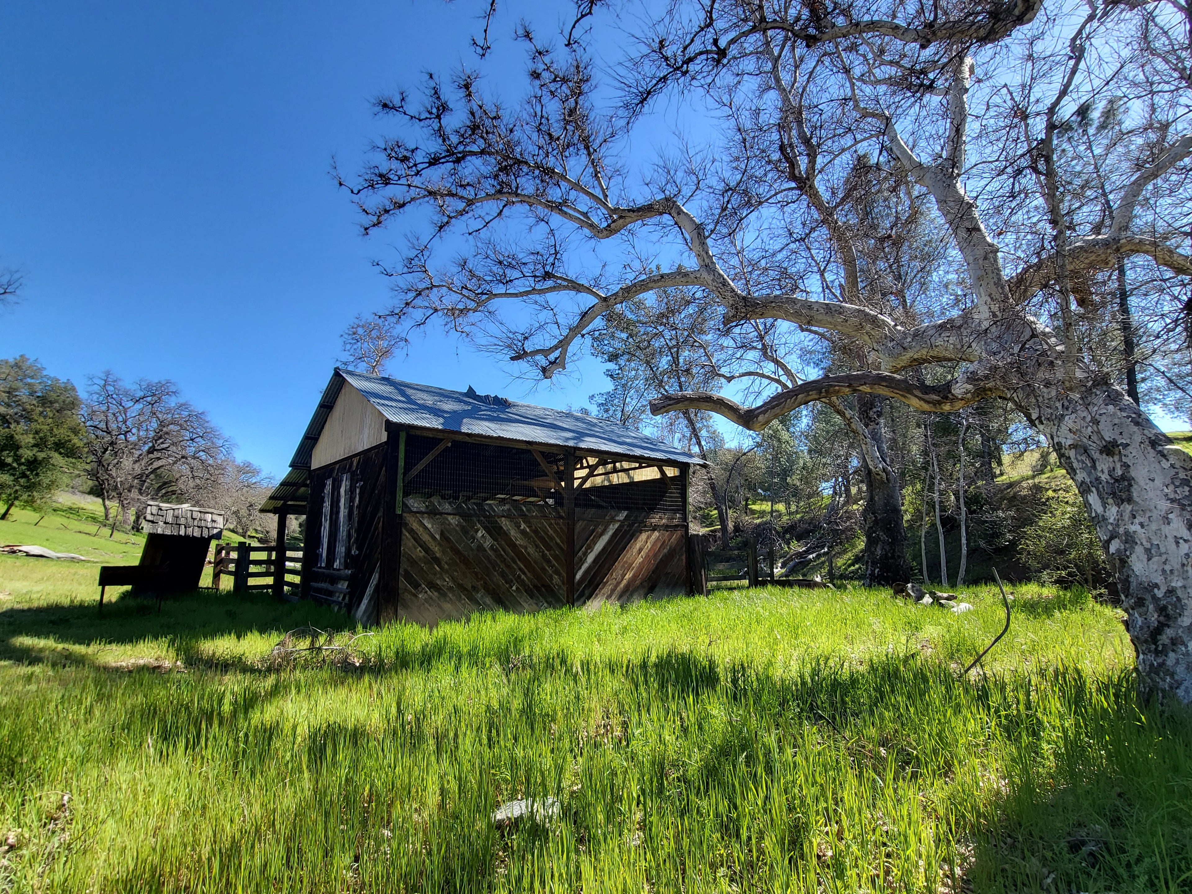 Old barn with green grass